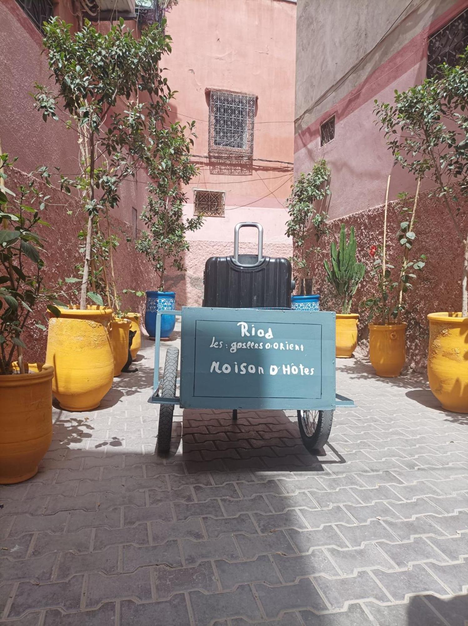 Riad Les Gazelles D'Orient Marrakech Marrakesh Bagian luar foto